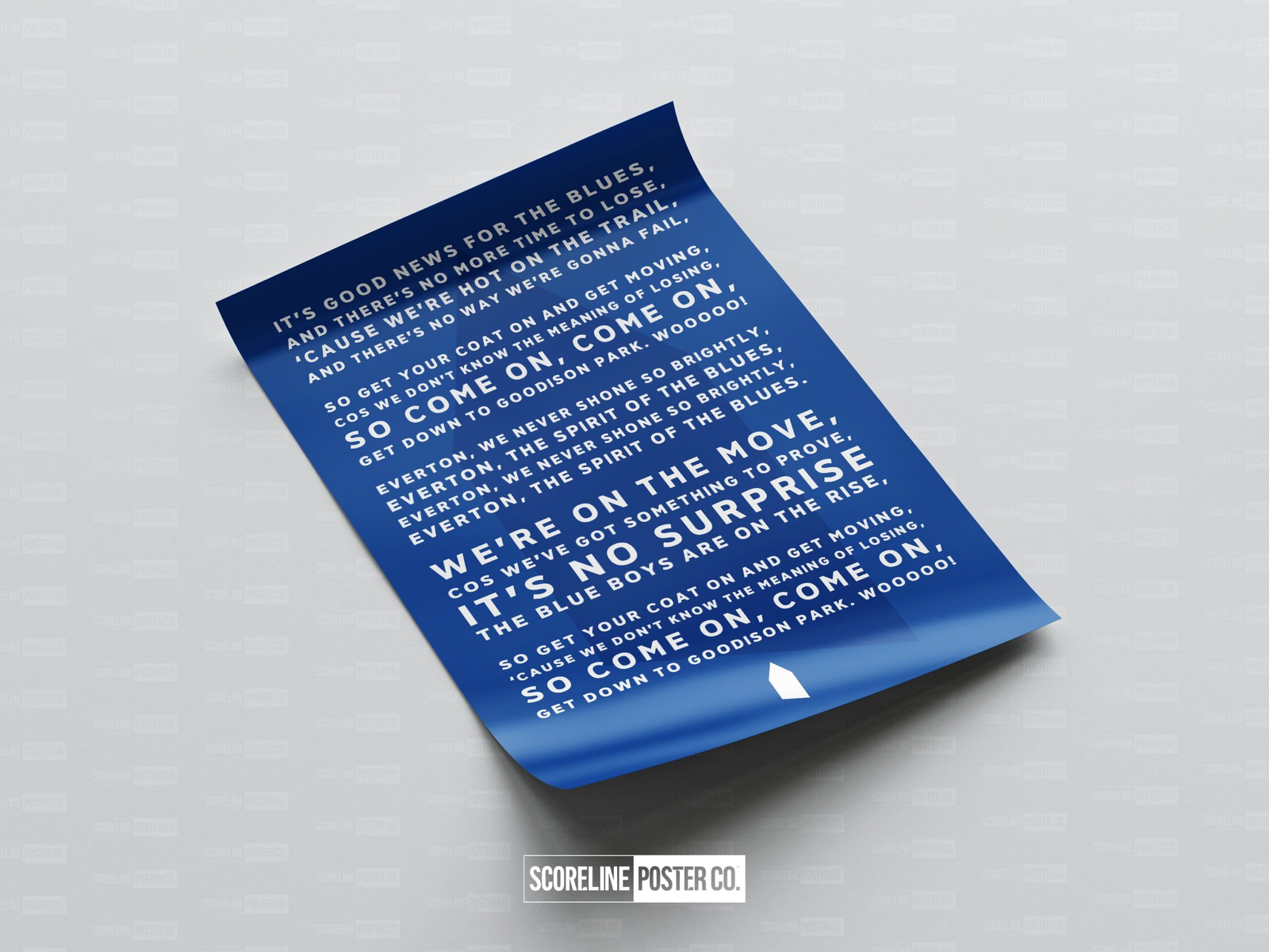 Everton 'It's No Surprise' Poster - Image 4